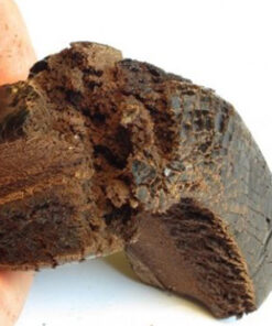 Buy Afghan Black-Hash Online