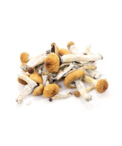 Buy Golden Teachers  Online