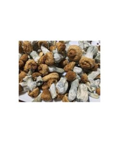 Psilocybin or Magic Mushrooms